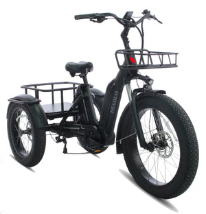 Diablo Big Foot Driewieler - Electrische minder valide fiets
