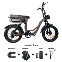 EB8 Fatbike - Donkere Koffie