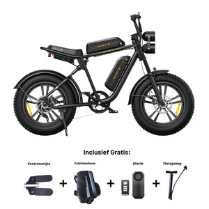 Engwe M20 - Dubbele accu - Zwart - 26 Ah