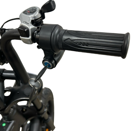 QMWheel V20/V29 Pro Fatbike - Dubbele Accu - Hydraulische Remmen - Zwart