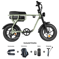 Kinderfatbike EB16 | Light green