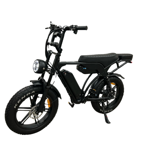 QMWheel V20/V29 Pro Fatbike - Dubbele Accu - Hydraulische Remmen - Zwart