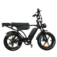 QMWheel V20/V29 Pro Fatbike - Dubbele Accu - Hydraulische Remmen - Zwart