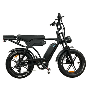 QMWheel V20/V29 Pro Fatbike - Dubbele Accu - Hydraulische Remmen - Zwart