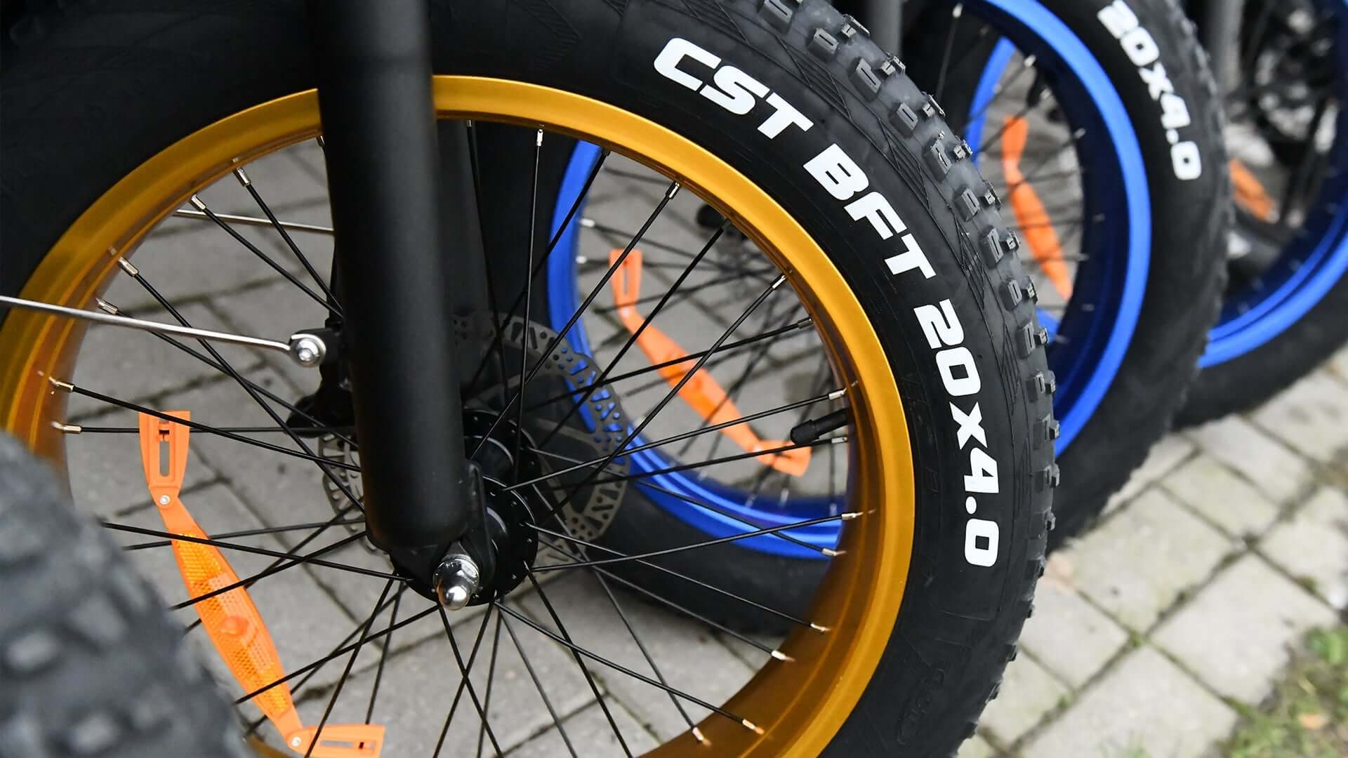 Mooiste fatbike trails - Dailyride