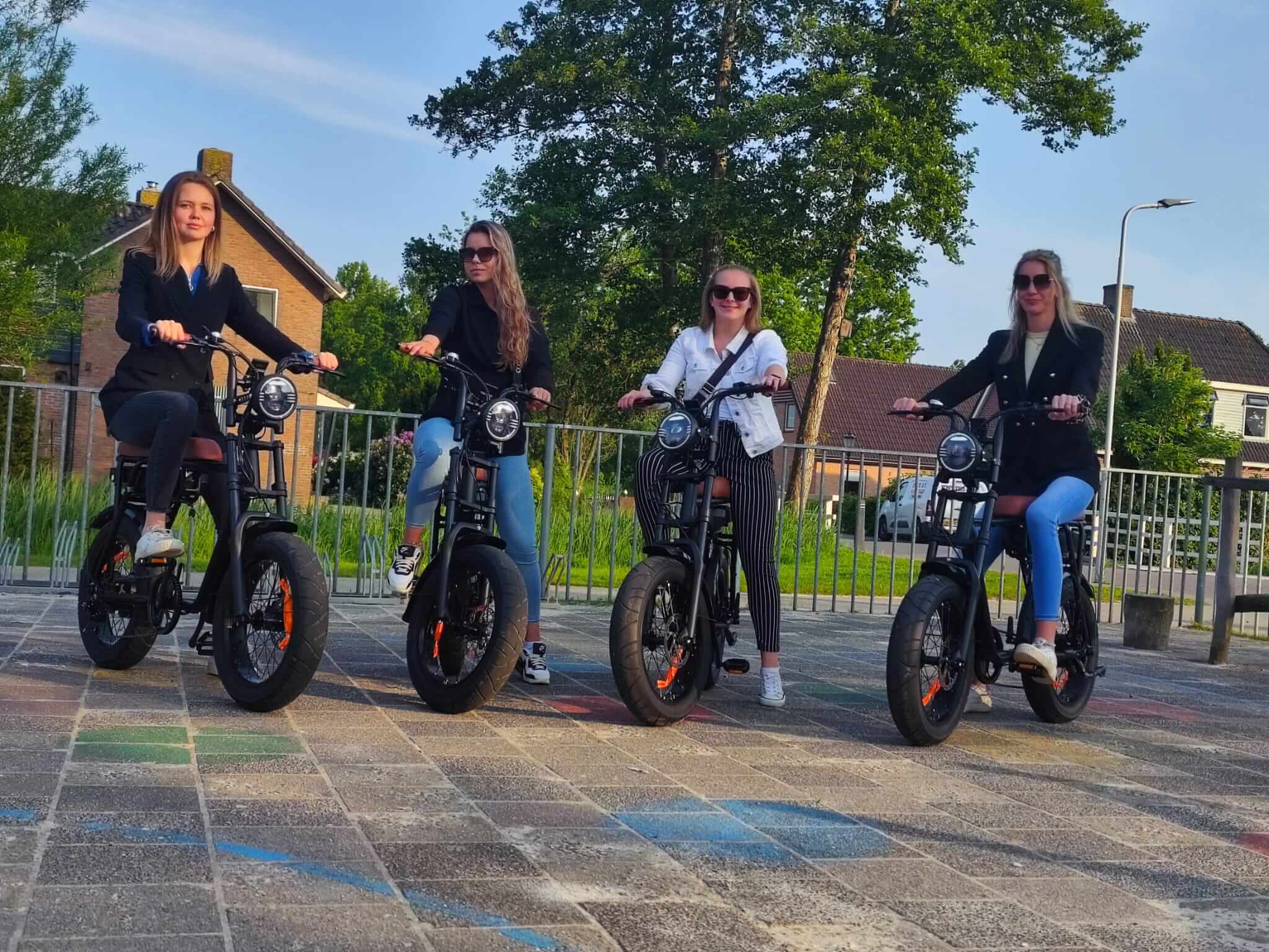 Diefstal preventie Fatbike - Dailyride