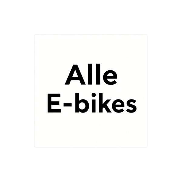 Vogue E-bikes - Dailyride