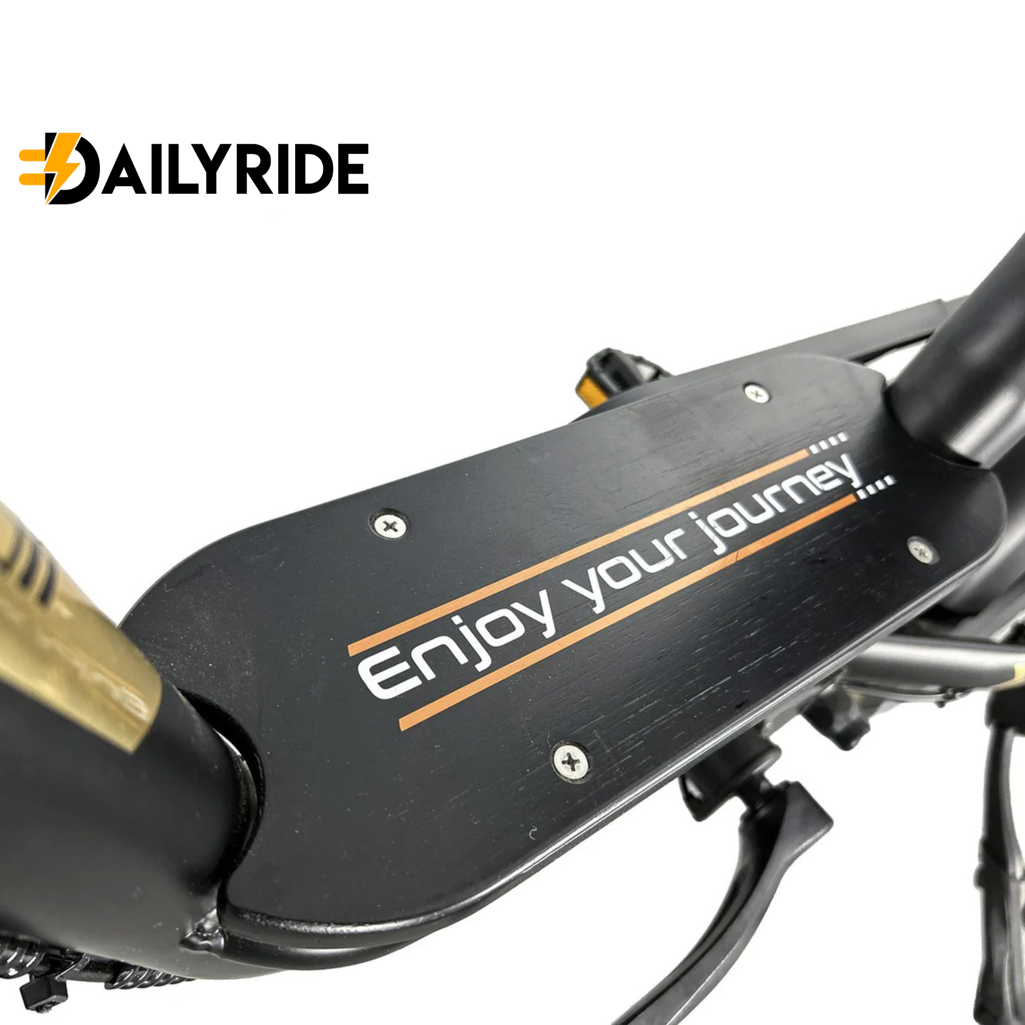 V20 Comfort Family Bike met achterzitje