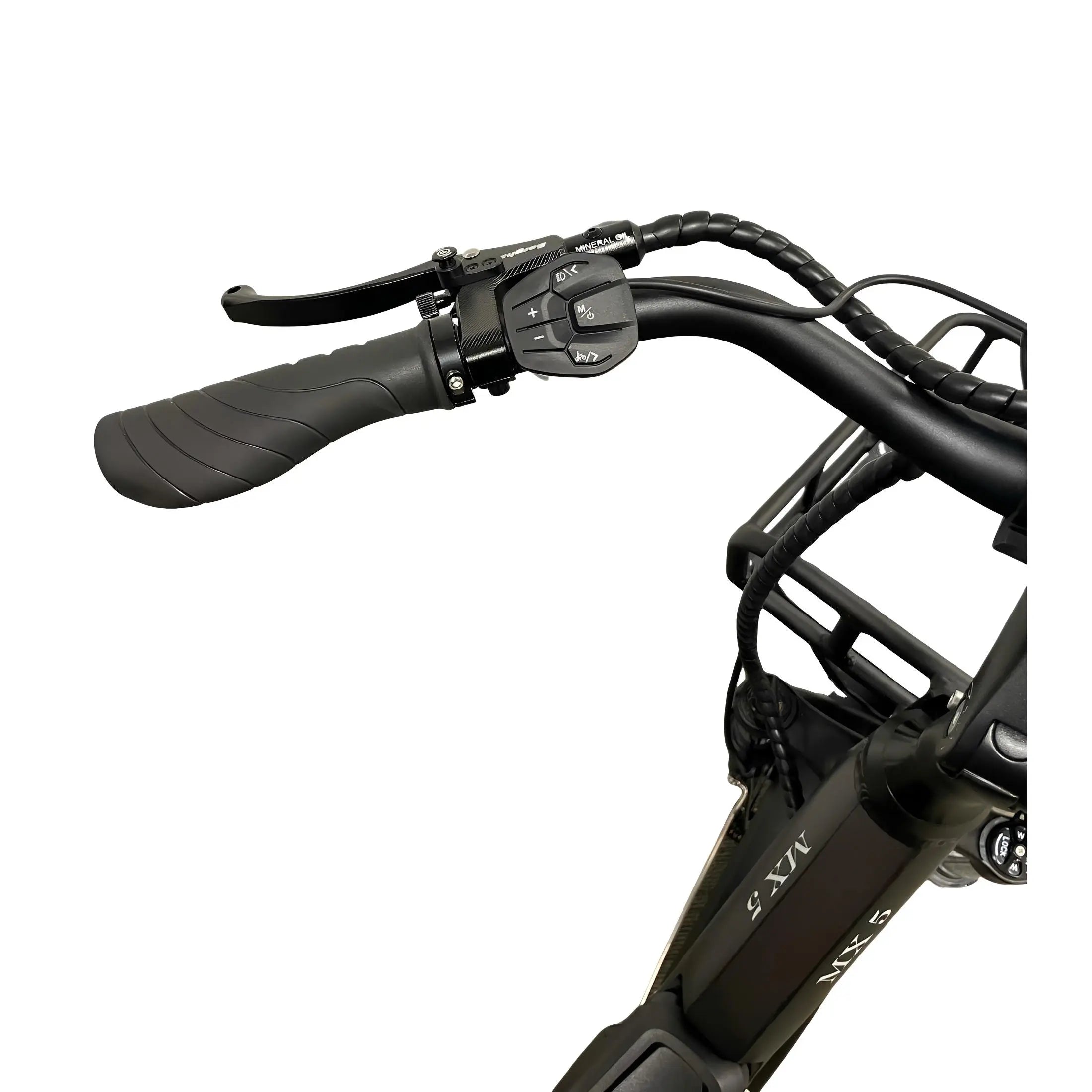 Diablo Big Foot Driewieler - Electrische minder valide fiets