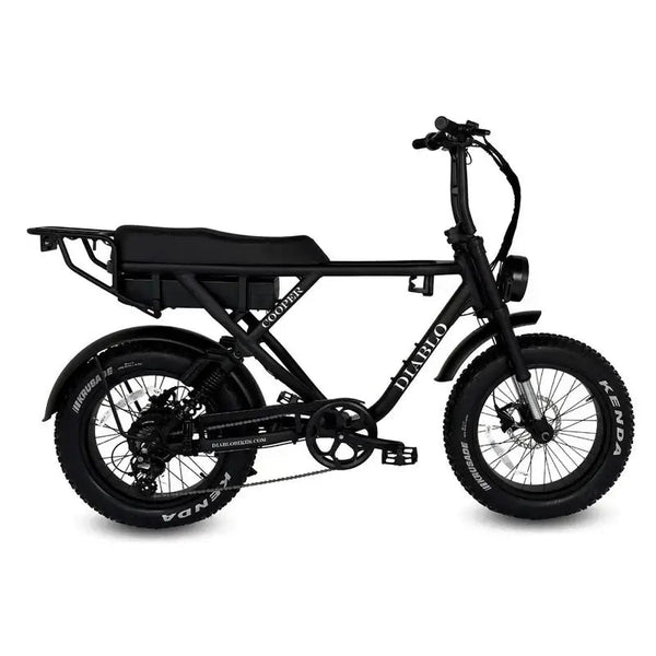 Diablo Cooper Fatbike - Matt Zwart