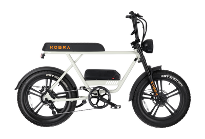 KOBRA V1.2 - Fatbike - Chalk Grey