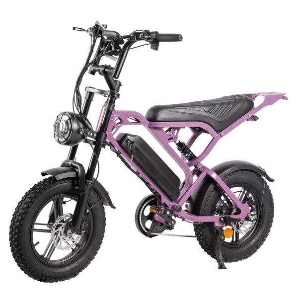 V20 Mini Fatbike – Kinderfatbike met Hydraulische Remmen & Gashendel - Paars - Stoer, Veilig en Straatlegaal!