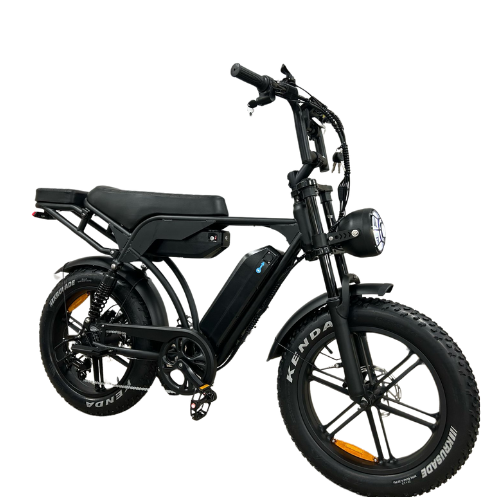 QMWheel V20/V29 Pro Fatbike - Dubbele Accu - Hydraulische Remmen - Zwart